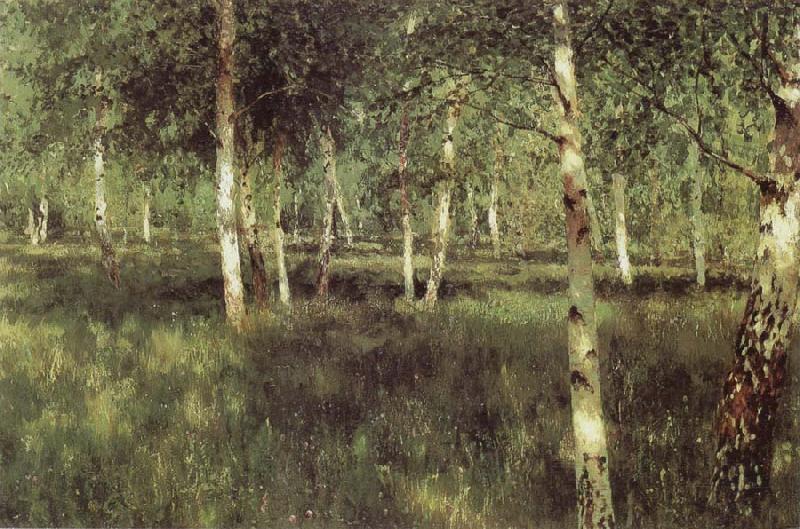 Isaac Levitan Birch Plantation oil painting image